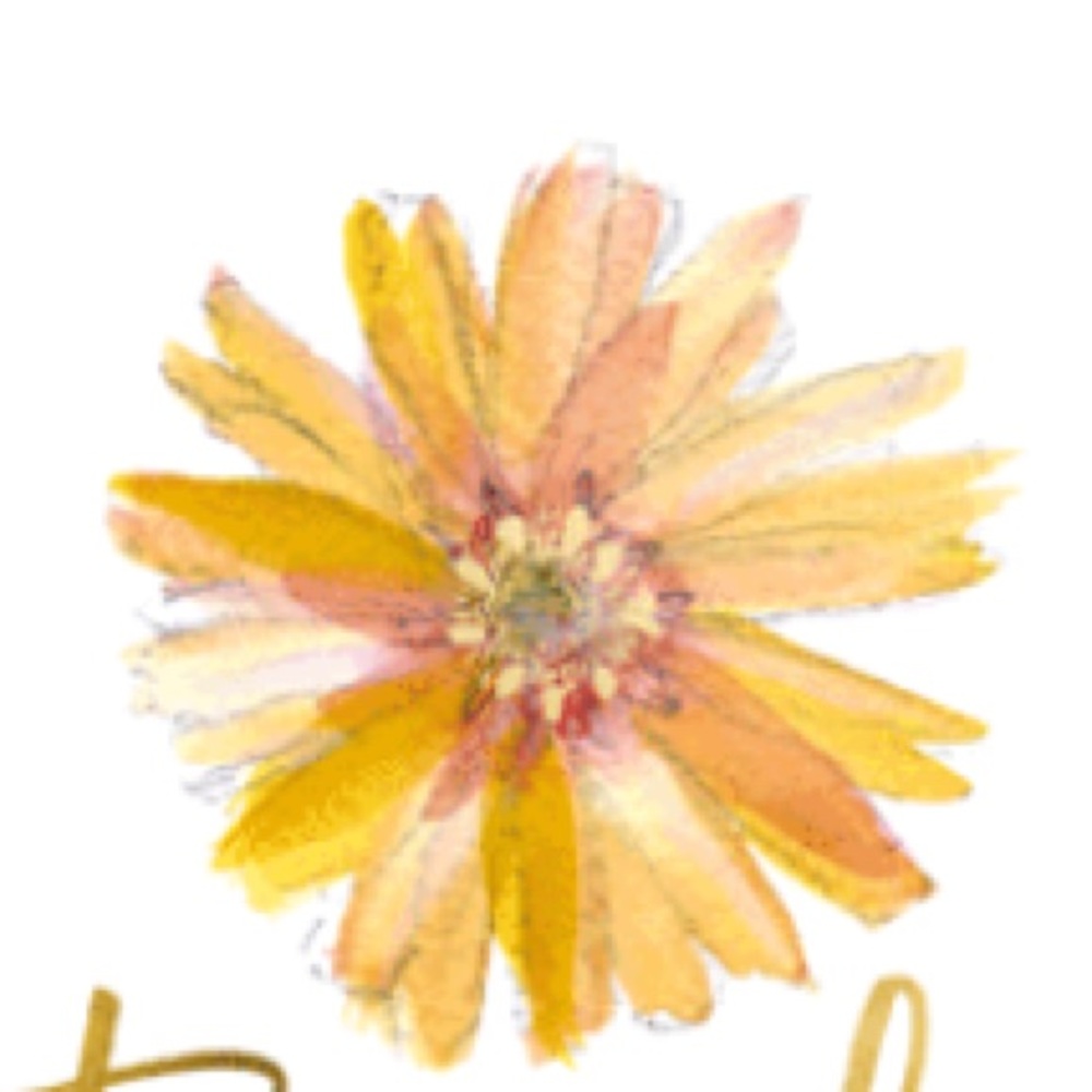 Meet your Posher, Bloom